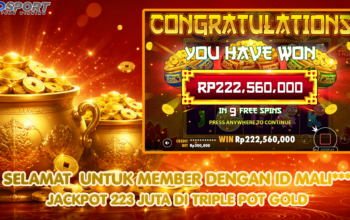 Member IBOSPORT Raih Jackpot Triple Pot Gold Rp222 Juta